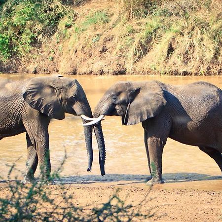 Mtomeni Safari Camp Phalaborwa Exterior foto