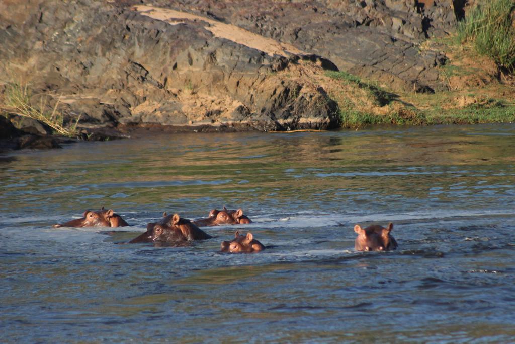 Mtomeni Safari Camp Phalaborwa Exterior foto