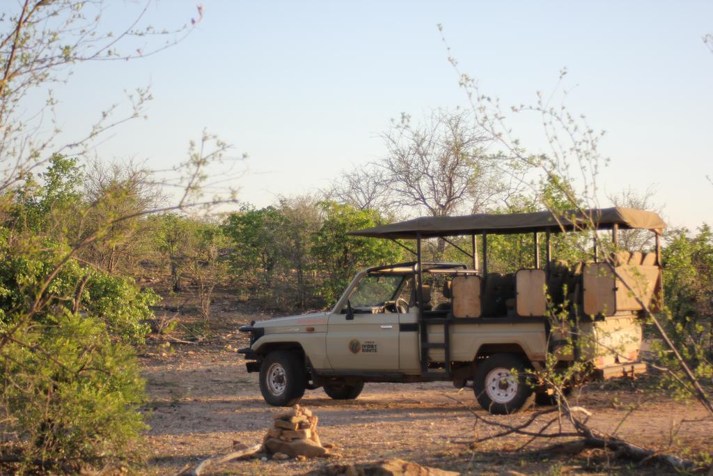 Mtomeni Safari Camp Phalaborwa Exterior foto